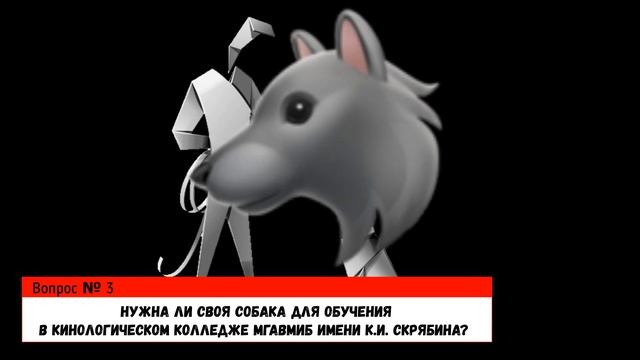 Кинологический колледж МГАВМиБ имени Скрябина: ответы на вопросы о поступлении 2021, ДОДы, ?.. (№7) смотреть онлайн