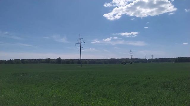 Дорога из леса - в поле. смотреть онлайн