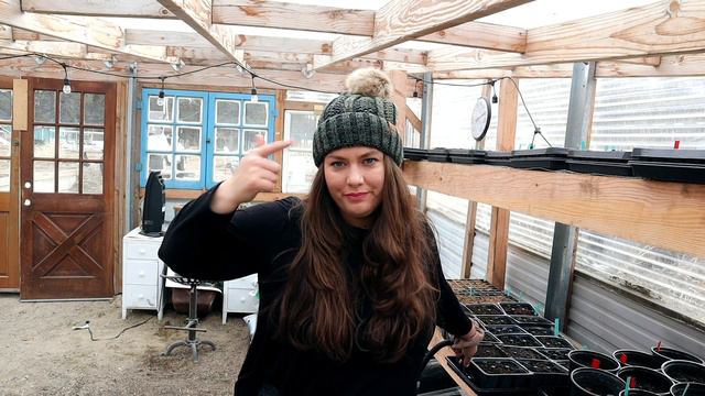 This Is exciting, Thats Our Flower Farm + High Tunnel Update | Greenhouse Temperature Problems смотреть онлайн