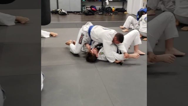 BJJ Gi Adults