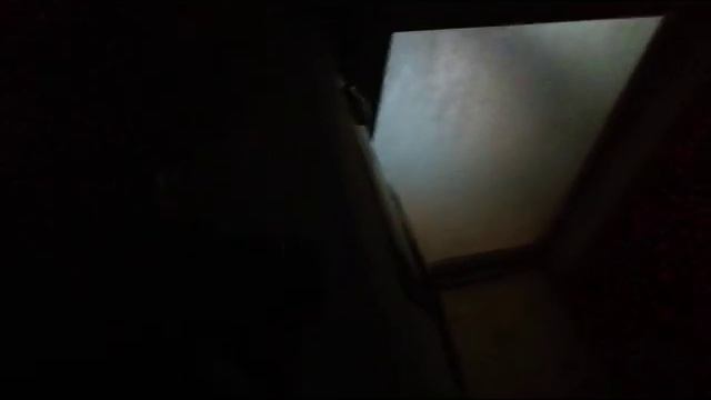 FUJIFILM デジタルカメラ FinePix S9800の AF補助光 смотреть онлайн