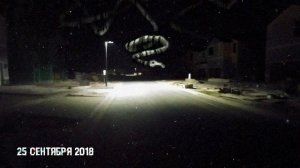 Все факты о долговязой лошади | long horse