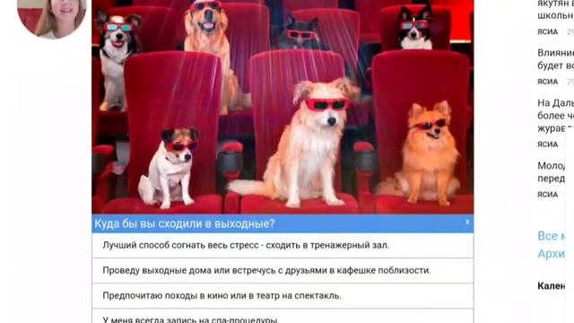 Какая порода собак мне подходит???? Дейзи мне не подходит?!? смотреть онлайн