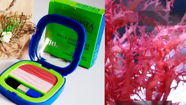 МАКИЯЖ ДЛЯ ЛИЦА BIOSEA. ПРИГЛАШАЕМ В КОМПАНИЮ BIOSEA. смотреть онлайн