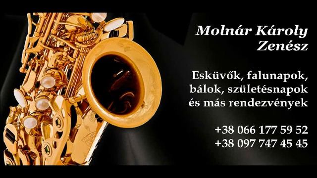 Millió rózsaszál (saxophone) смотреть онлайн