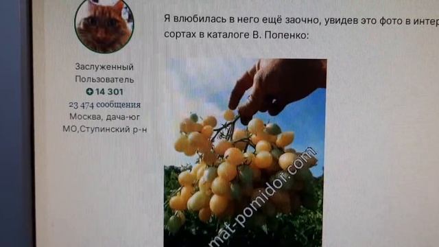 томаты черри 2021..мой выбор ч.3 смотреть онлайн