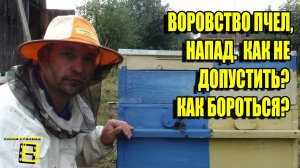 ВОРОВСТВО НА ПАСЕКЕ. НАПАД ПЧЕЛ. КАК НЕ ДОПУСТИТЬ? ПОДКОРМКА. ЛЮБИТЕЛЬСКОЕ ПЧЕЛОВОДСТВО С «0»