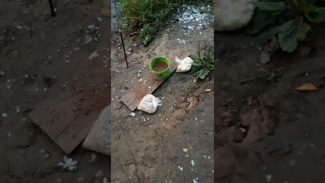 Рыбалка владимирская область смотреть онлайн