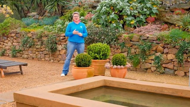 Using Buxus in your garden смотреть онлайн