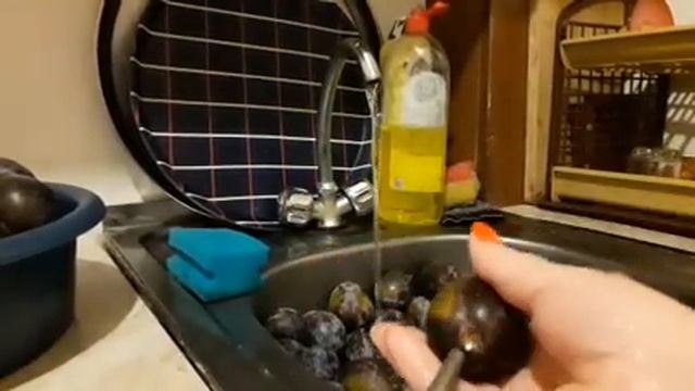 СУХАФРУКТЫ ИЗ ЧЕРНОСЛИВА НА ЗИМУ / В ДОМАШНИХ УСЛОВИЯХ смотреть онлайн