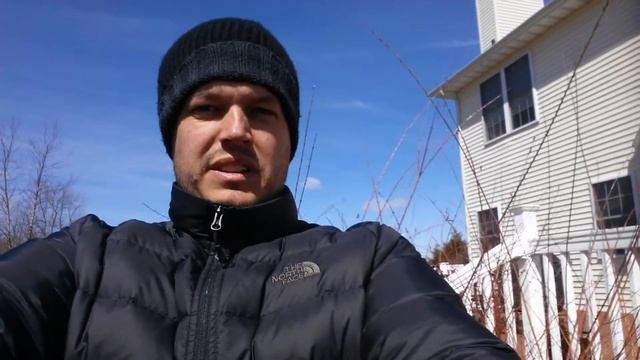 Pruning Salix смотреть онлайн