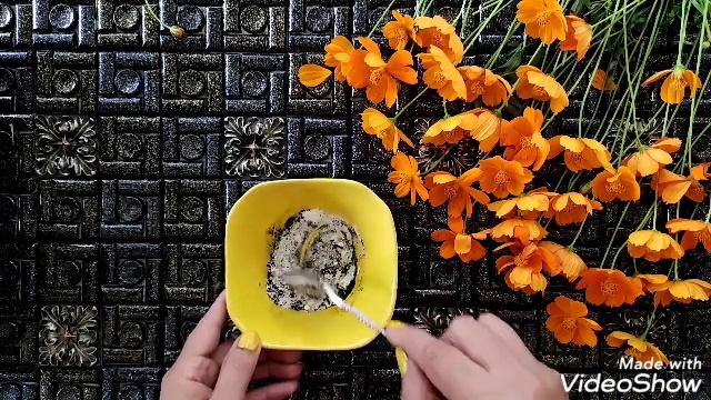 EVDE SİYAH NOKTALARDAN KURTULMAK ?? | ÖLÜ DERİ VE GÖZENEK ARINDIRMA| DIY смотреть онлайн