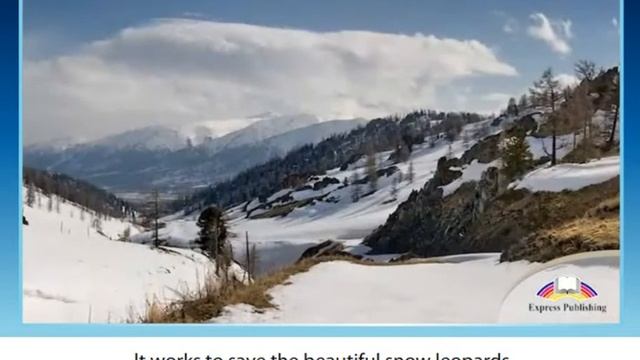 Excel, Grade 9, Unit 4 Charities and Conflict, Volunteering смотреть онлайн