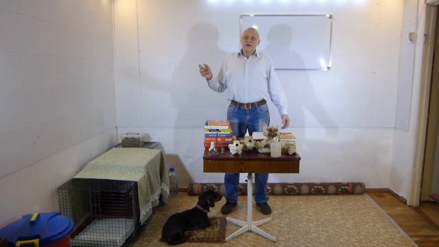 Дрессировка щенка. Вступление смотреть онлайн