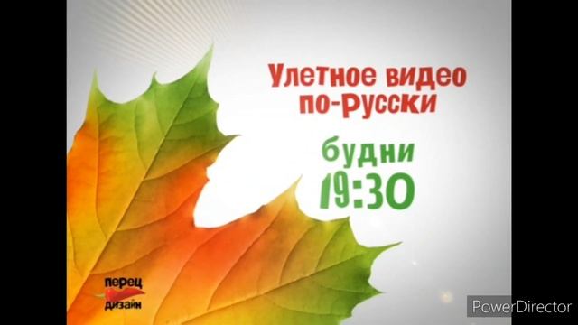 Перец Дизайн All Compilation смотреть онлайн