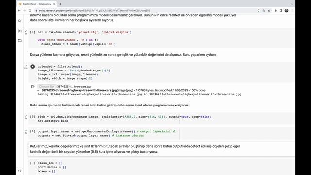 YOLO ve Python kullanarak araç sınıflandırma смотреть онлайн