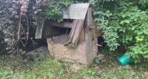 Купили заброшенную дачу...Часть третья. Ищем клад