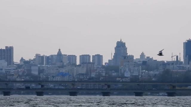 Прогулка. Воронеж 2020 смотреть онлайн