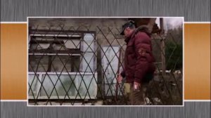 Правда о живой изгороди из ивы