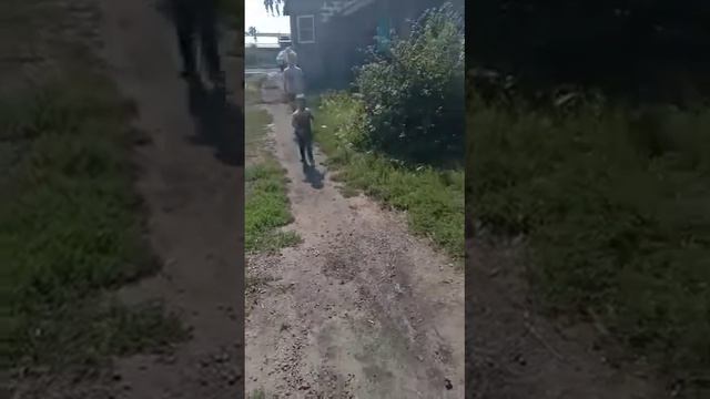 Лужа. смотреть онлайн