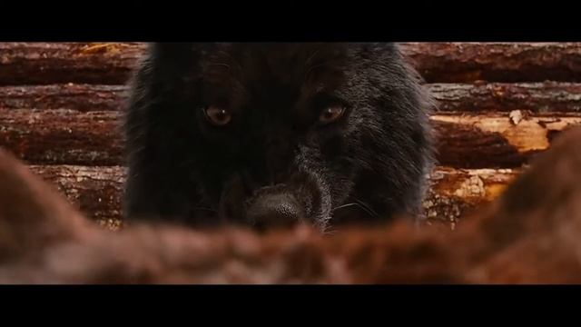 Музыка из кино "Сумерки " смотреть онлайн