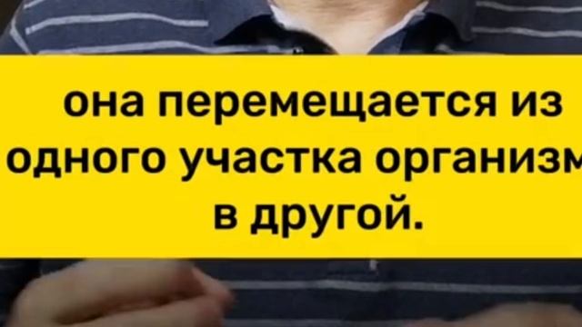 Главные проблемы у деабетиков смотреть онлайн
