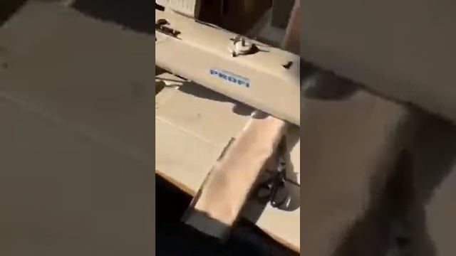 PROFI GC20518-L-635-FT смотреть онлайн