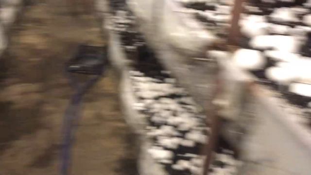 Сколько МОЖНО ХРАНИТЬ ПОКРОВНЫЙ СЛОЙ?Какой урожай растёт на СТАРОМ покровном слое? Шампиньоны летом смотреть онлайн