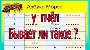 Как разговаривают пчёлы? Азбука Морзе у пчёл ???