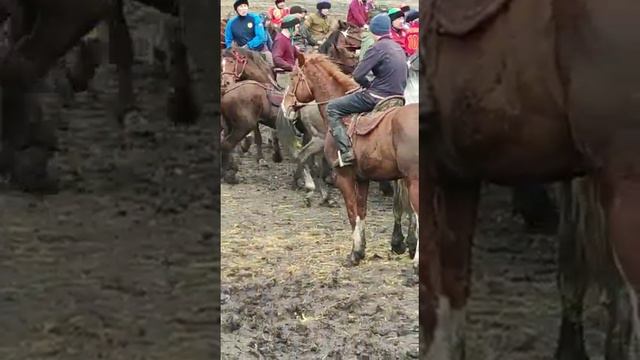 Ростов На Дону Кыргыз Биримдиги💪💪 смотреть онлайн
