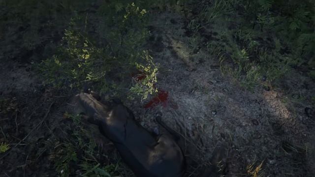 HORSE Falls from the Sky - Red Dead Redemption 2 PC смотреть онлайн