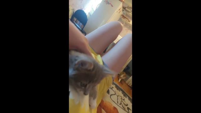 Что было в деревне, и кто на нас напал!?