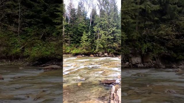 Карпатские красоты в дождливый день #shorts смотреть онлайн