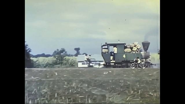Gending 4 on Field Work, East Java, Indonesia смотреть онлайн