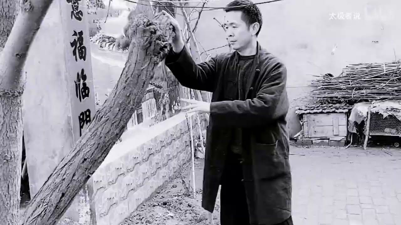 Традиционные методы тренировки навыков тайцзицюань. смотреть онлайн