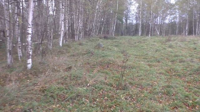 НАШЕЛ В ПОЛЕ! СТАРИННЫЕ НАХОДКИ С МЕТАЛЛОИСКАТЕЛЕМ КОП ПО СТАРИНЕ 2021! смотреть онлайн