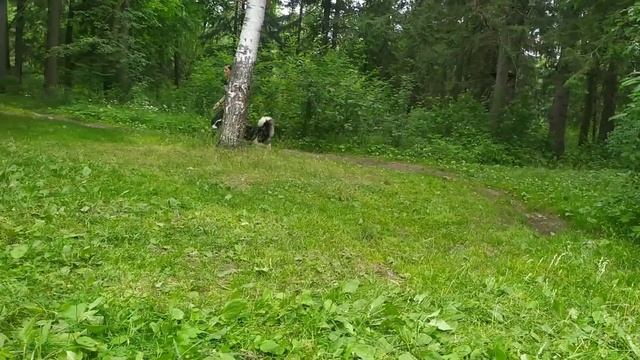 Russkaya Skazka Zvezdochet. 4,5 years смотреть онлайн