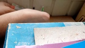 Как ловить клопа вонючку (щитник) в домашних условиях и выбросить без вони.