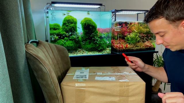 UNBOXING THE MOST EXPENSIVE CREATURES I'VE EVER KEPT! смотреть онлайн