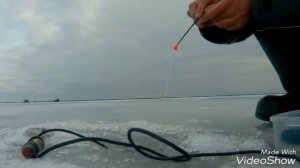 Рыбалка на Ладожском озере. д.Кобона. Окунь на мормышку.