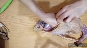 Как Быстро и Правильно разделать  утку.