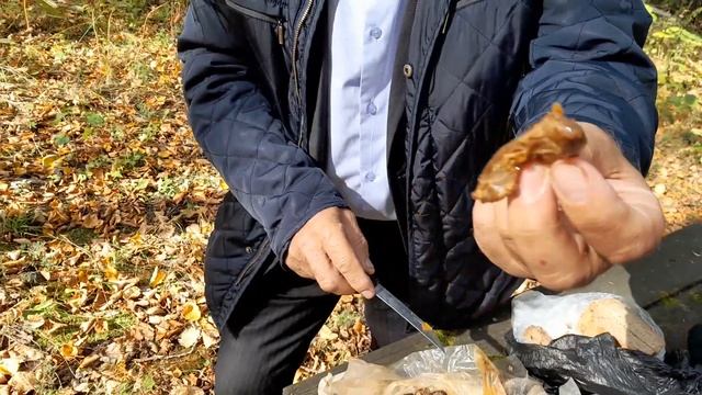 В горах в лесу 29 09.2023 смотреть онлайн