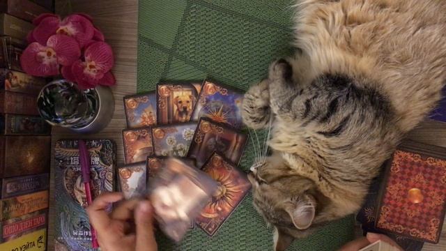 Когда в вашу жизнь идут перспективные знакомсива с мужчинами. смотреть онлайн