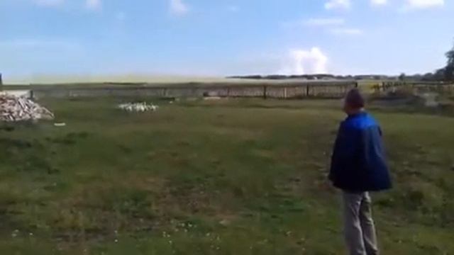 Мужик зовет гусей и они бегут к нему. смотреть онлайн