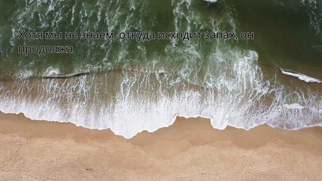 Никогда не бросай его.Не причиняй ему вреда.