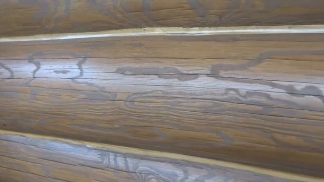 Шлифовка сруба, теплый шов-герметизация, пропитка лазурью REMMERS смотреть онлайн