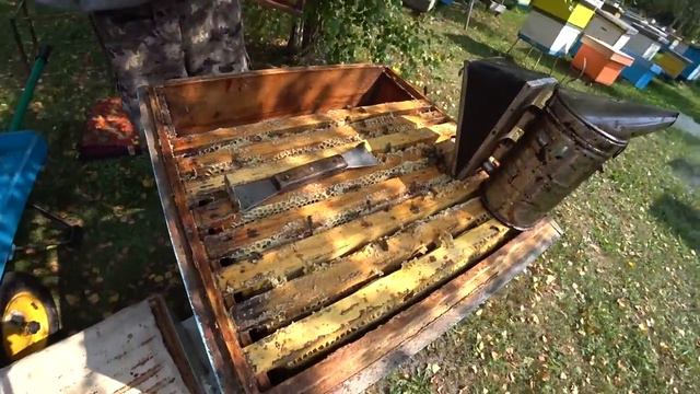 МЕДОВИК! Как сработал на медосборе! ОТБОР МЁДА №2 смотреть онлайн