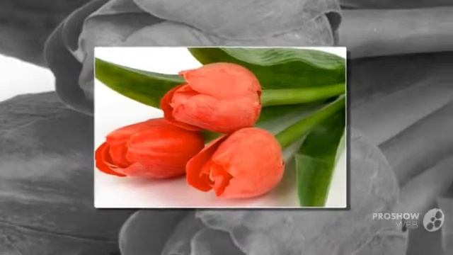 Доставка цветов Волгоград, фото вручения в подарок! смотреть онлайн