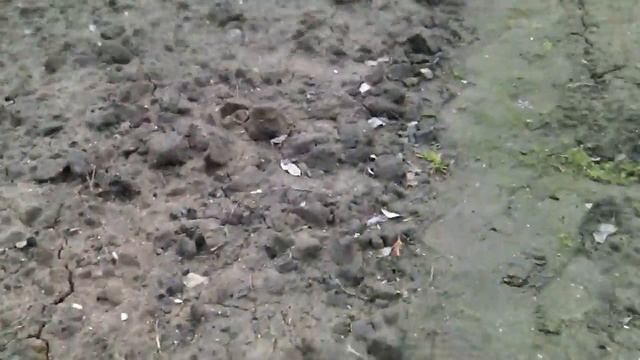 Обзор на дачу(описание читаем) смотреть онлайн