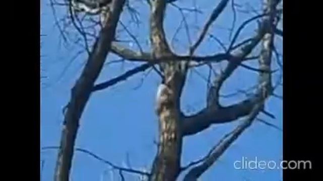 Безлимитный хостинг для сайта смотреть онлайн